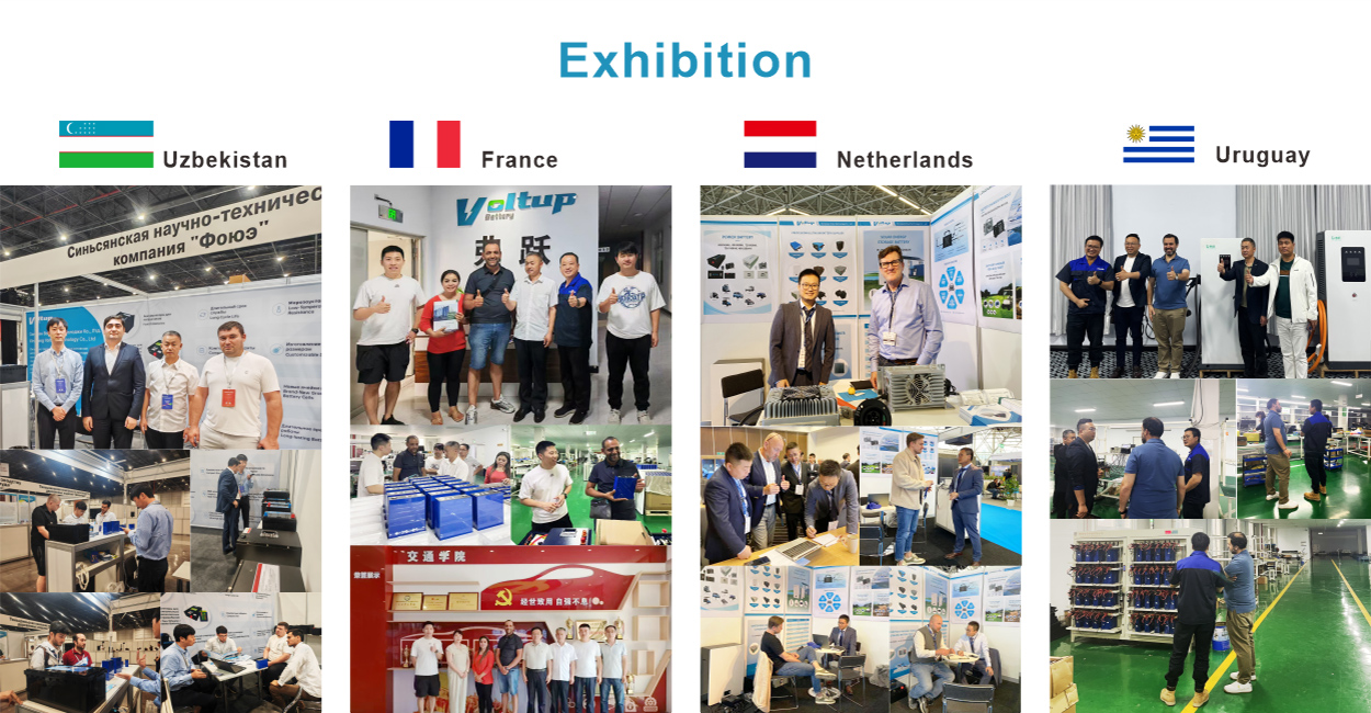 Voltup Battery Details 4